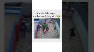 SORTE QUE O CACHORRINHO GOSTA DE VER A RUA