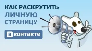 100.000 ПОДПИСЧИКОВ И 10.000 ДРУЗЕЙ В ВК ЗА МИНИМАЛЬНЫЕ СРОКИ | ПРИВАТНЫЙ СОФТ 2017