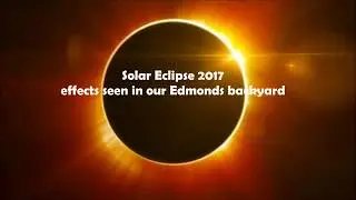 Solar Eclipse at 90% seen from our Edmonds backyard