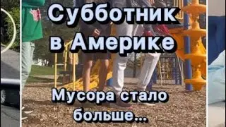 Экологичнее позвать ОДНОГО работника, который бы всё убрал 🤷‍♀️ Ваше мнение пишите в комментариях 👇🏼