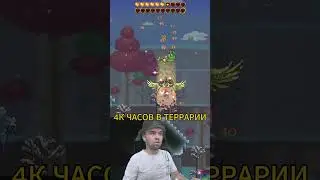 4к часов в Террарии 