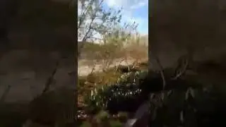 Видеоблогер Станислав