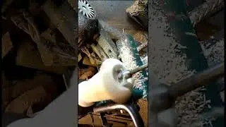 Ваза из веток ореха