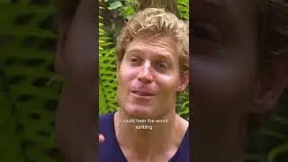 Vet's Terrifying Close Encounter With Croc That Killed 9 Alligators 😱🐊  | Bondi Vet 