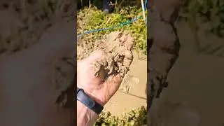 ABISSINIAN WELL. АБИССИНСКАЯ СКВАЖИНА.💦