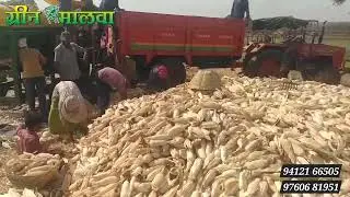 मक्का थ्रेसर - भुट्टे से छिलका अलग करने की मशीन