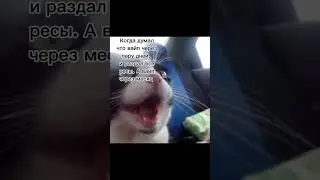 #майнкрафт