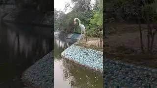 রাজশাহী চিড়িয়াখানা ২০২৪ / Rajshahi Zoo / খুলে যাওয়ার পর রাজশাহী চিড়িয়াখানার নতুন রুপ /Rajshahi Park