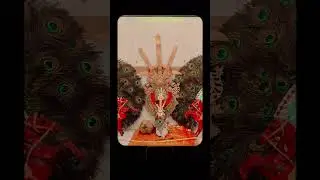 famous Muharram Shahpur Karnataka number van