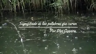 Significado de las palabras que curan por Vivi Cervera