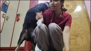 My Dog Shinchan’s Brain Is Full of Mischievous Ideas Today – Watch What He Did!