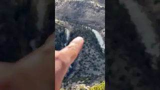 Almost perfection. #nature #funnyshorts #funnyvideos