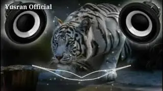 Dj Remix Kopi Hitam | background macan putih