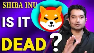 Shiba Inu Coin: Why SHIB Can't be DEAD 💢