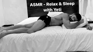 ASMR - Sleep and relax with Yeti