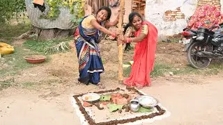 Pagli's Govardhan Puja || Bhojpuri Comedy // Bhojpuri Comedy