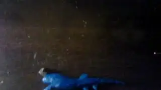 Лепим дунклеостея из пластилина!