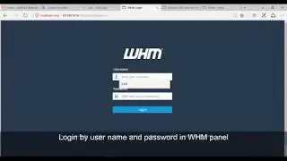Create Name Server WHM Cpanel in Godaddy