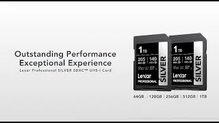 Lexar® Professional SILVER SDXC™ UHS-I Card