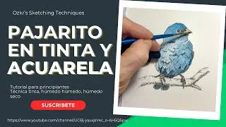 Cómo pintar gorrión en tinta y acuarela para principiantes, paso a paso