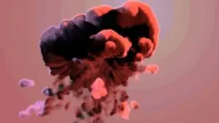 Test_bomb1