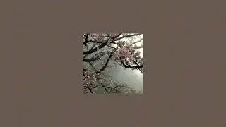 wave to earth - sunny days (speed up)