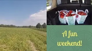 A Fun Weekend! 🍅Gratitude, one the greatest secrets...