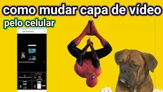 como troca a capa do seus vídeos do seu canal passo a passo vem comigo