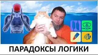 ПАРАДОКСЫ ЛОГИКИ  #ДайвингЭтоПросто