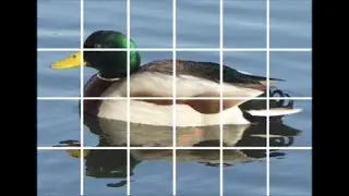 How to Paint from a Photo