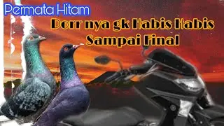 PERMATA HITAM NGEDOR SAMPAI FINAL. PPMKM PUTARAN 5.LAPAK BIMA SAKTI MADYOGONDO NGABLAK MGL