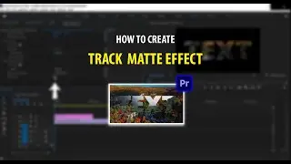 How To Create Track Matte Effect in Premiere Pro