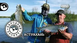 Как найти активного жереха. Рыбалка в Астрахани | Народный проект