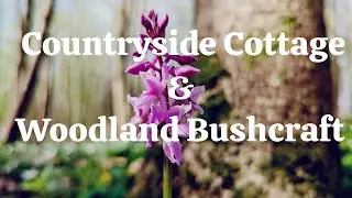 Life Changing Decision! Moving to the Countryside and a Trip to the Woods.