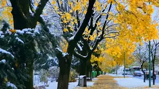8K Walkthough in Winter Brasov, Romania | Sophat Notes