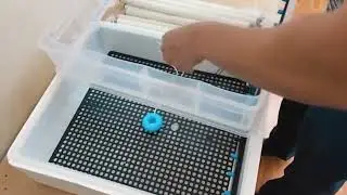 Инкубатор автоматический 