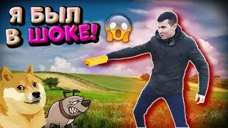 Отпугиватель Собак с Алиэкспресс! Собаки сходят с ума! это ЖЕСТЬ! Проверка! Агент СРУ
