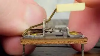 10 HOURS of Clicking a 1959 Cherry Mechanical Keyboard Switch by LGR!