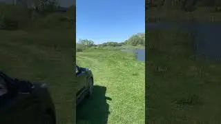 Рыбная река #shorts
