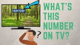 Things You might Have Thought At Sometime?