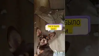 😱так и было , мам!💥 