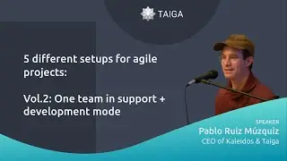 5 different setups for agile projects: One team in support + development mode