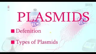 plasmid | Defenition | Type