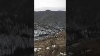 Ходовая охота