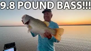 9.8 Pound Bass in Texas!