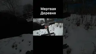 Мертвая деревня в лесах