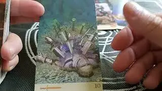 Как его забыть?