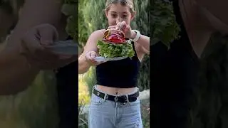 Бургер с нужным количеством клетчатки