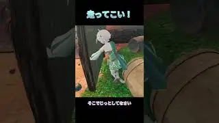 走ってこい！