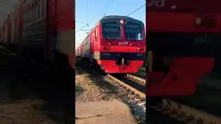 Прибытие эд9м на о.п сады #ржд #publictransport #поезда #поезд #railtravel #railway #железнаядорога
